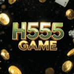 H555 Game